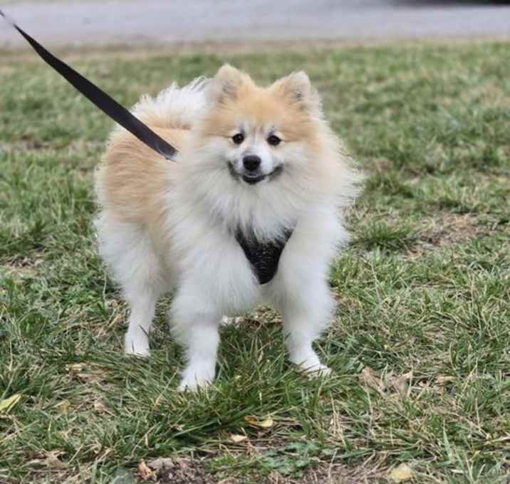 Photo of Bryce (NKA Bennent)~