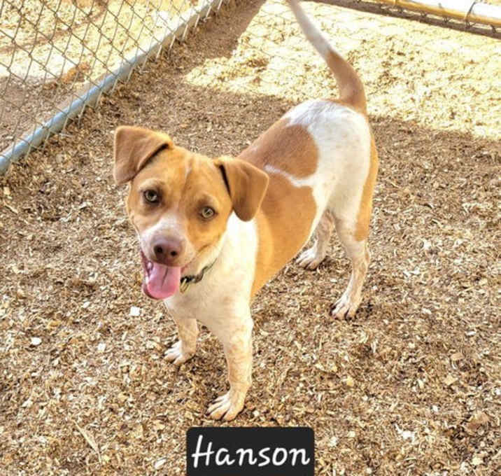Photo of Hanson