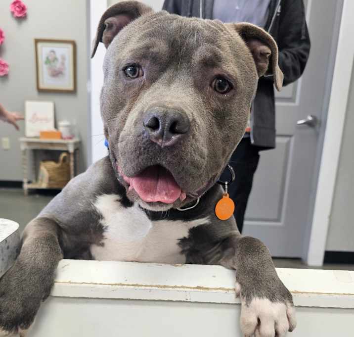 Photo of Brock