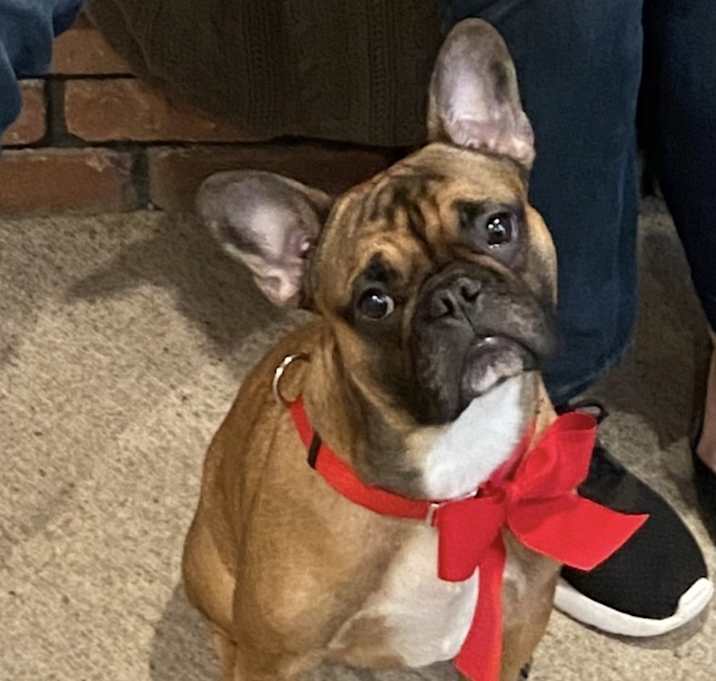 Photo of Gus
