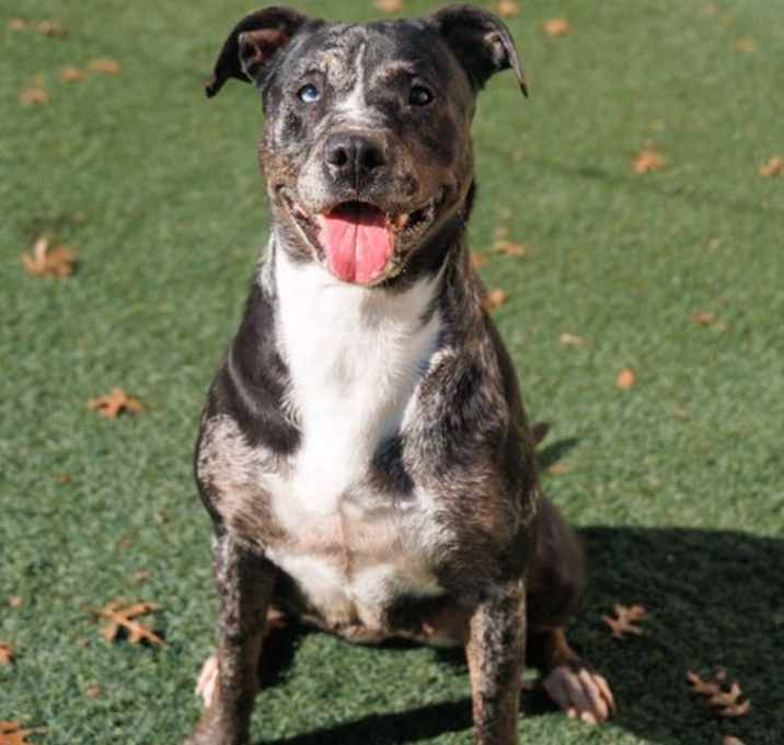 Photo of Roxi
