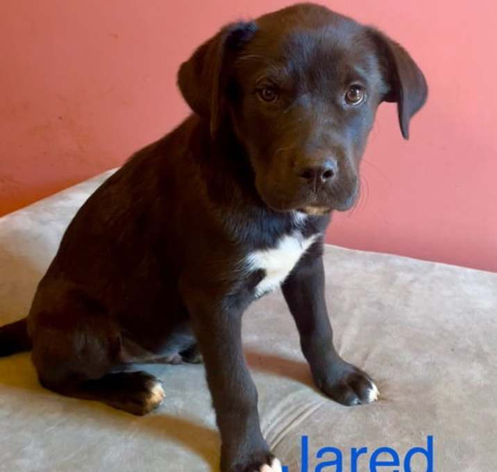 Photo of Jared