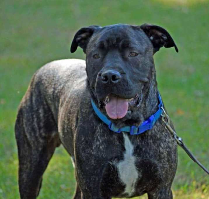Photo of Thor
