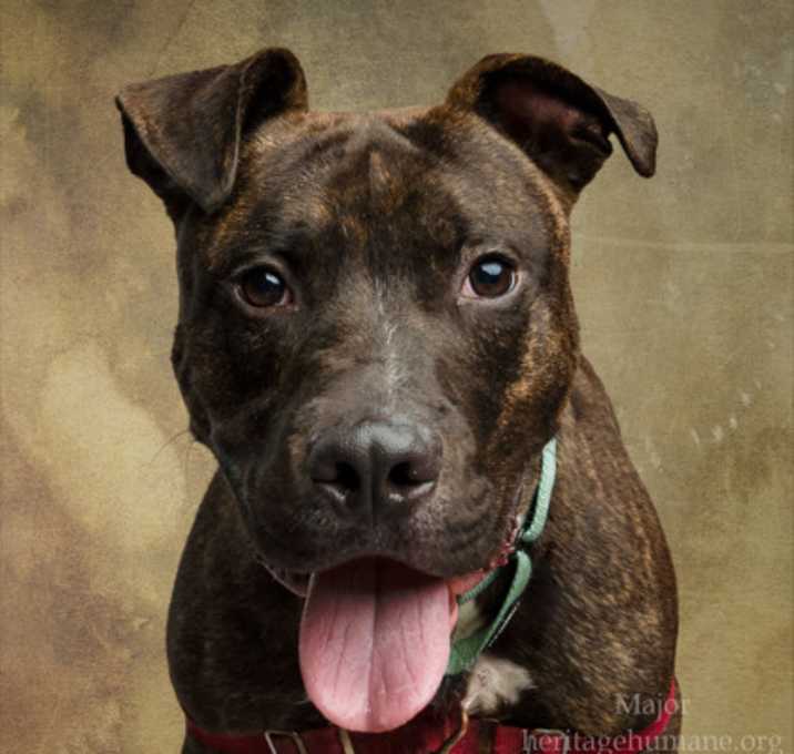 Photo of Major