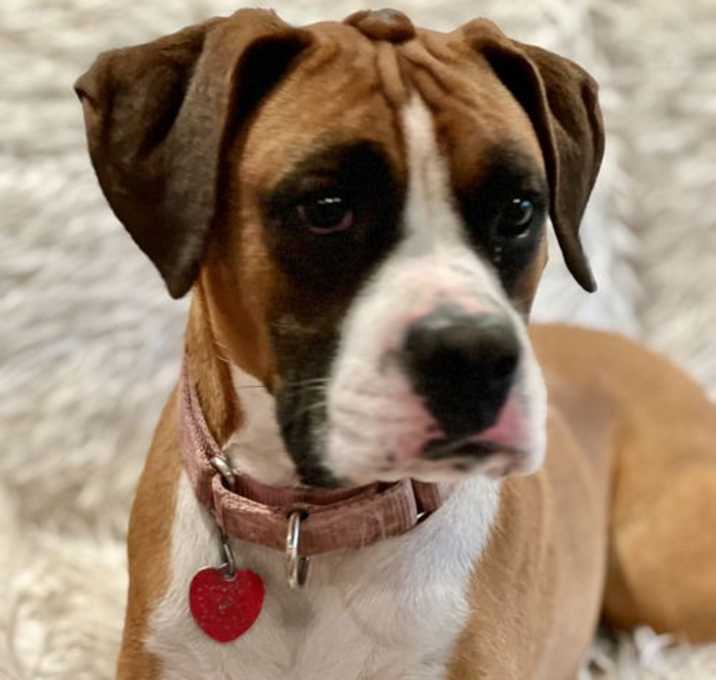 Photo of Skyla