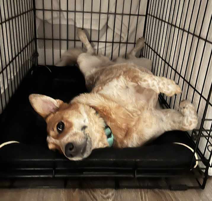 Photo of Margo