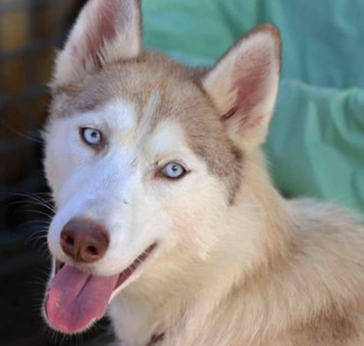 Photo of Priscilla