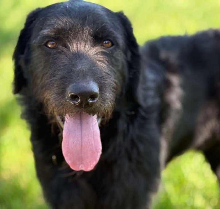Photo of Tucker
