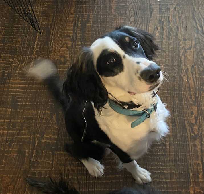 Photo of Tex
