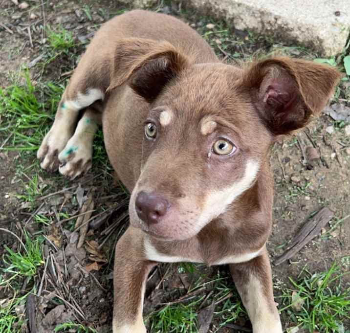 Photo of Bonnie