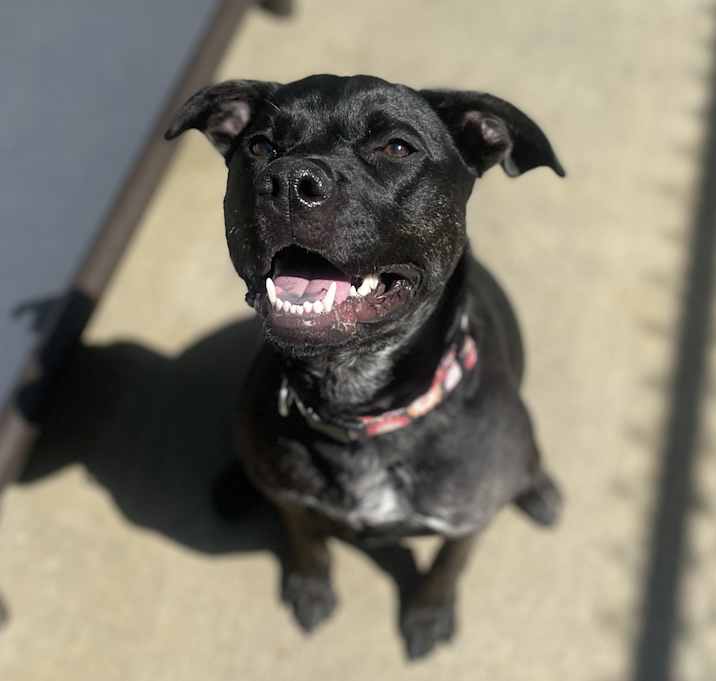 Photo of CoCo