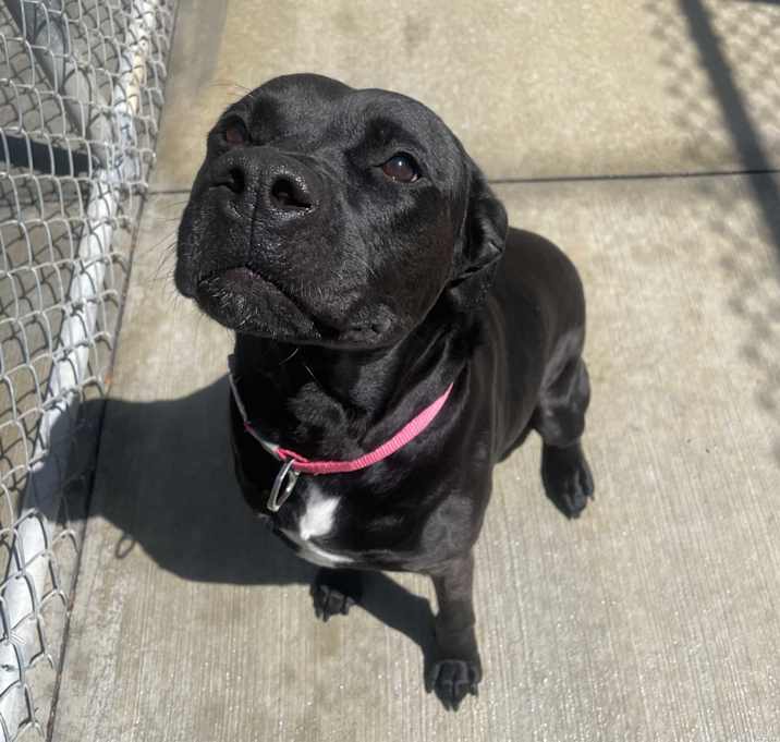 Photo of Penelope