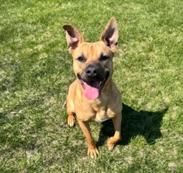 Photo of Wally