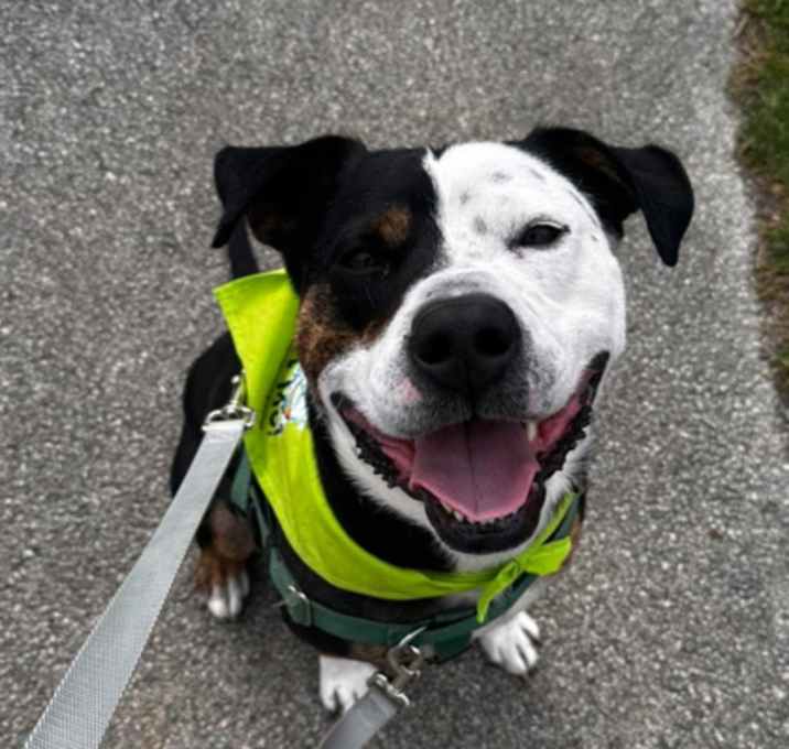 Photo of Tyson