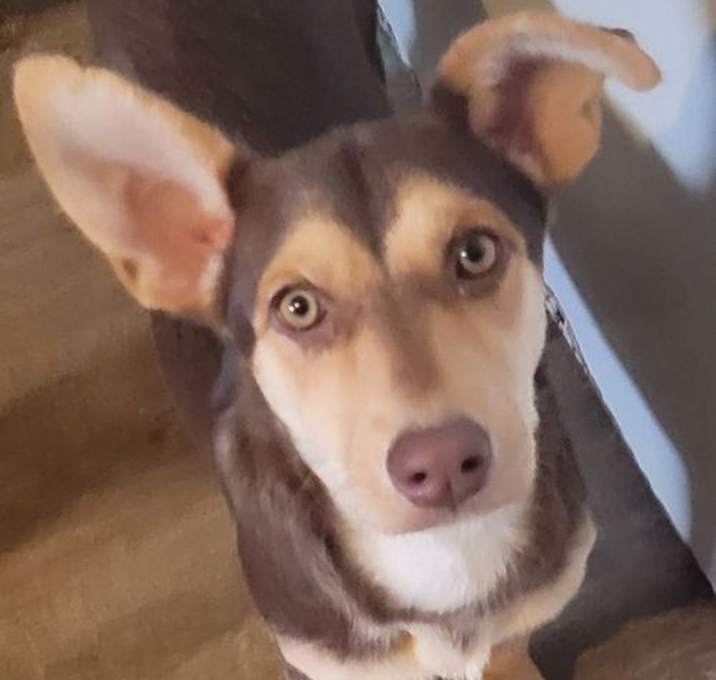 Photo of Portia