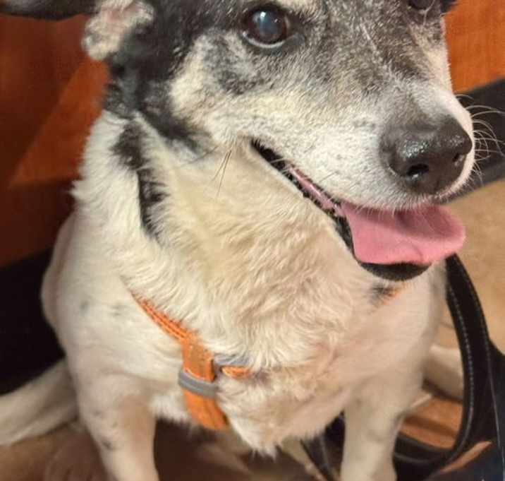 Photo of Max