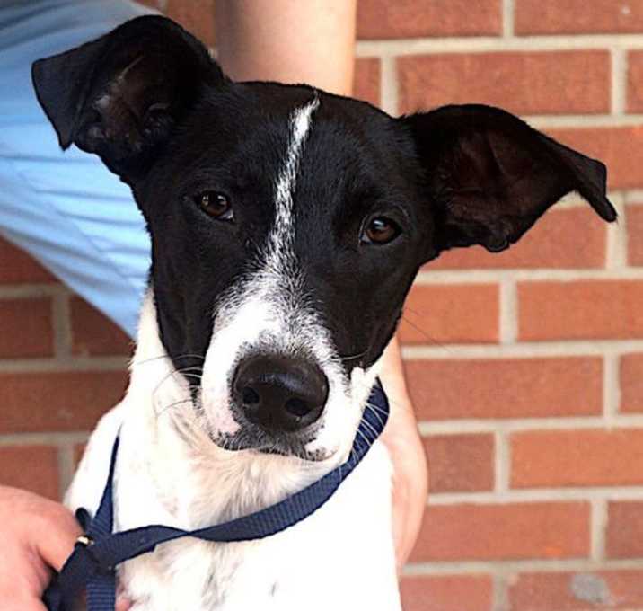 Photo of Chevy
