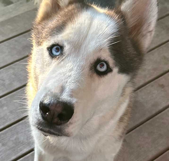 Photo of Outlaw