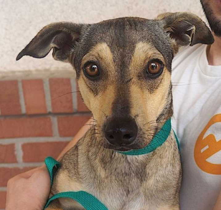 Photo of Estrella