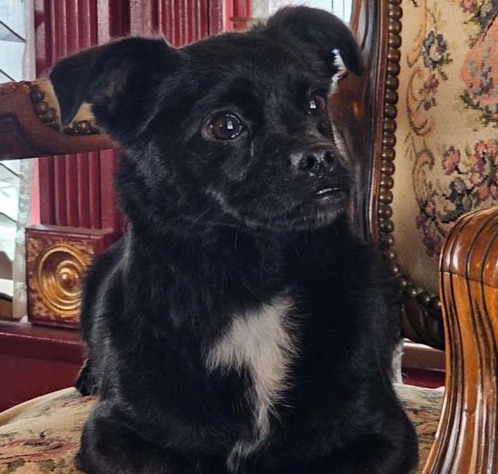 Photo of Quincy