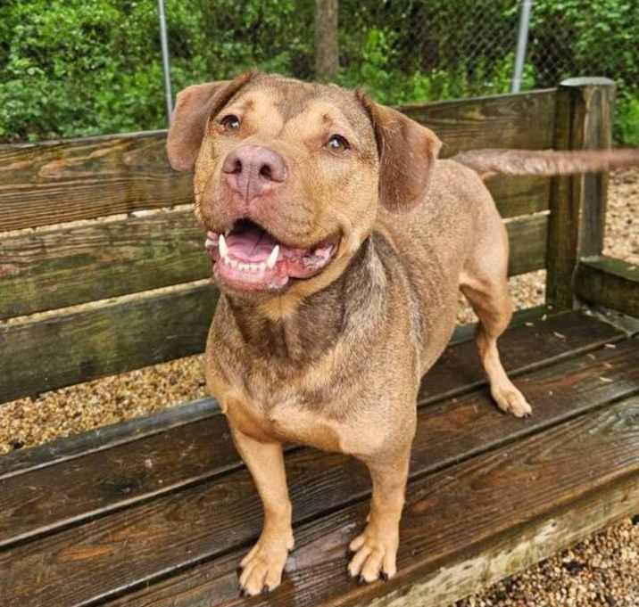 Photo of Mable