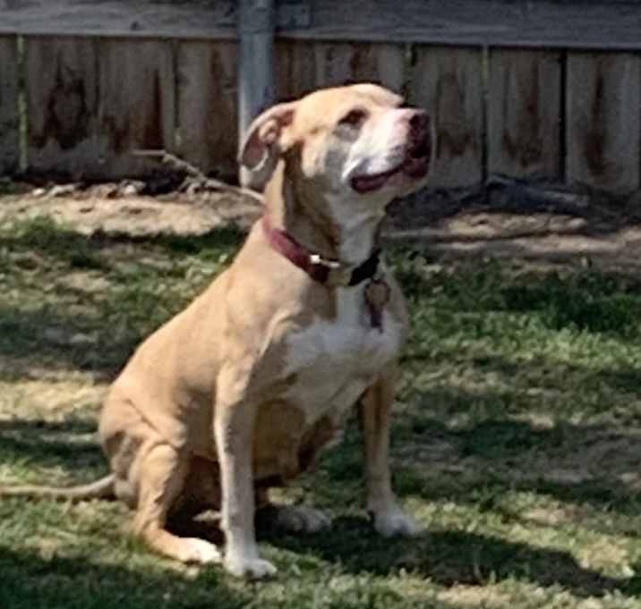Photo of Stormy