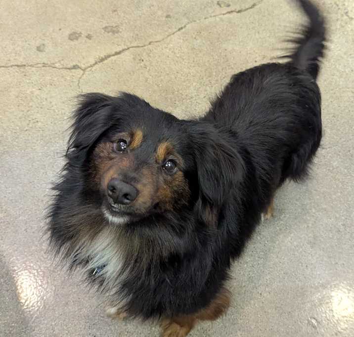 Photo of Bilbo Waggins