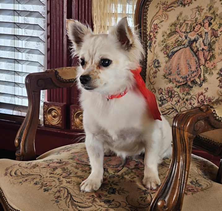 Photo of Holly