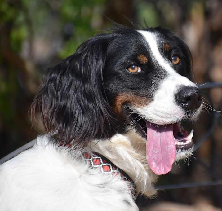 Photo of Reggie