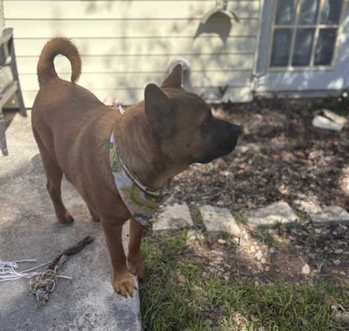 Photo of OSO