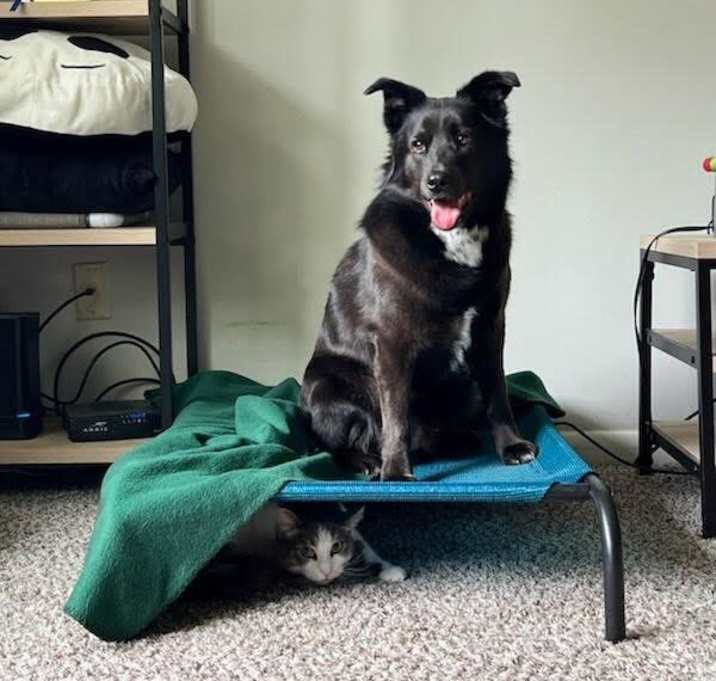 Photo of Little Bear