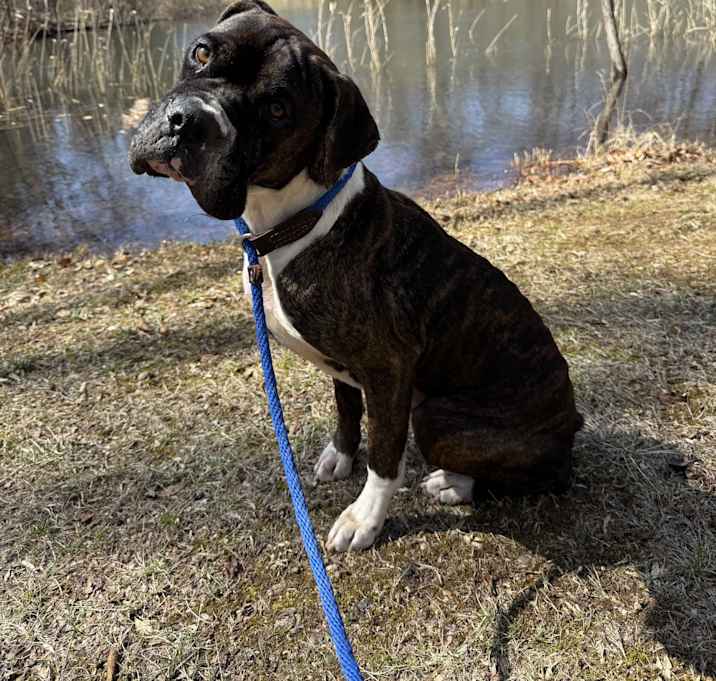 Photo of Thor