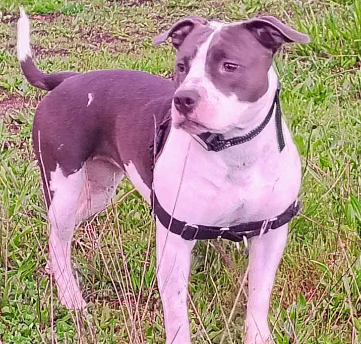 Photo of Meet Lexi