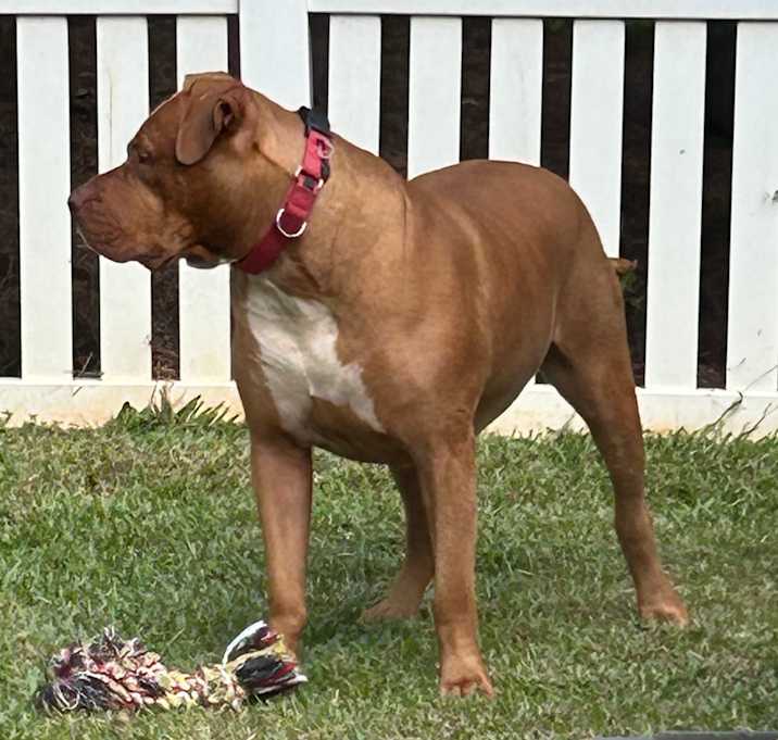 Photo of Thor