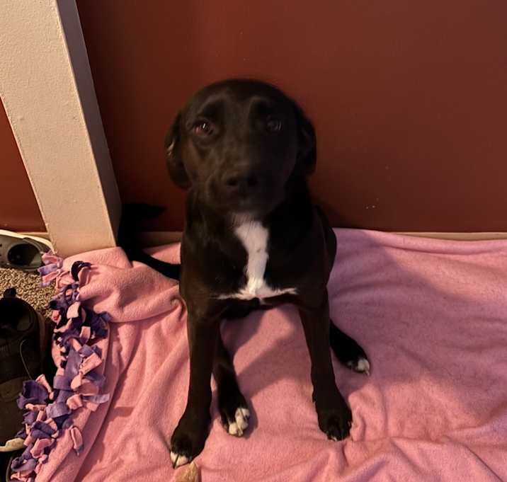 Photo of Mia
