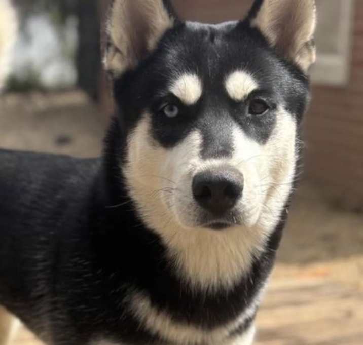 Photo of Chloe