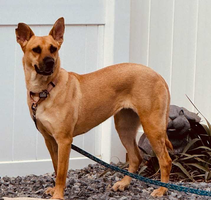 Photo of Doxi