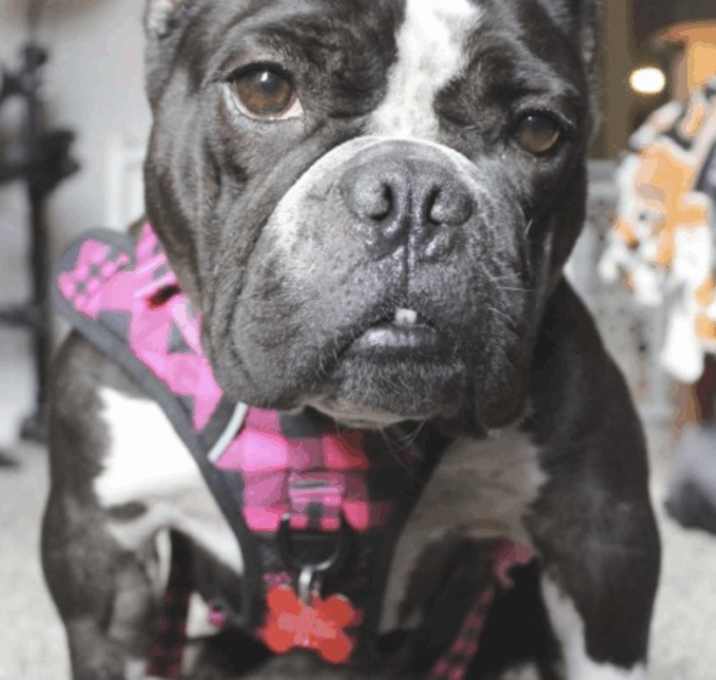 Photo of Girlie
