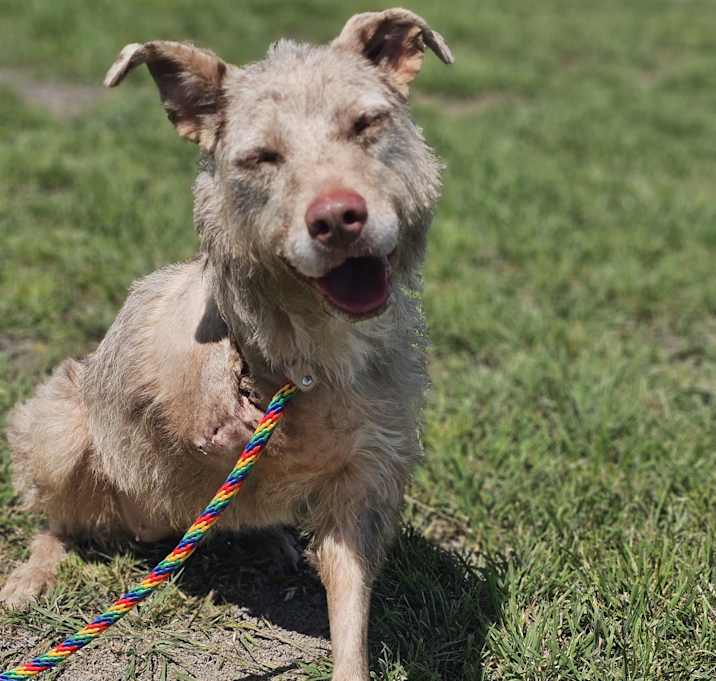 Photo of Aspen