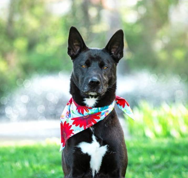 Photo of Parker