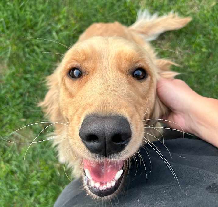 Photo of Sadie 040225