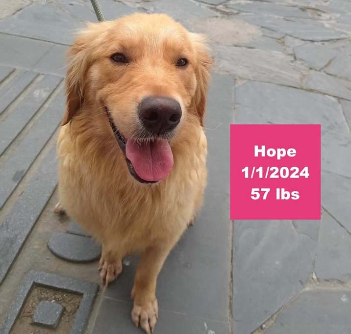 Photo of Hope