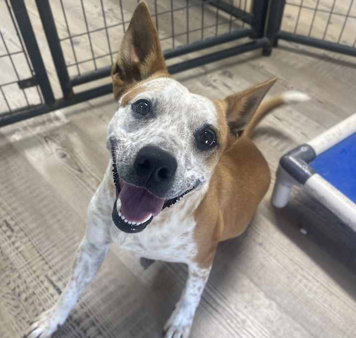 Photo of Barklin