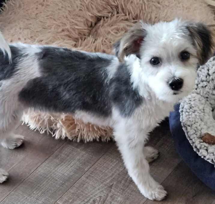 Photo of Billy