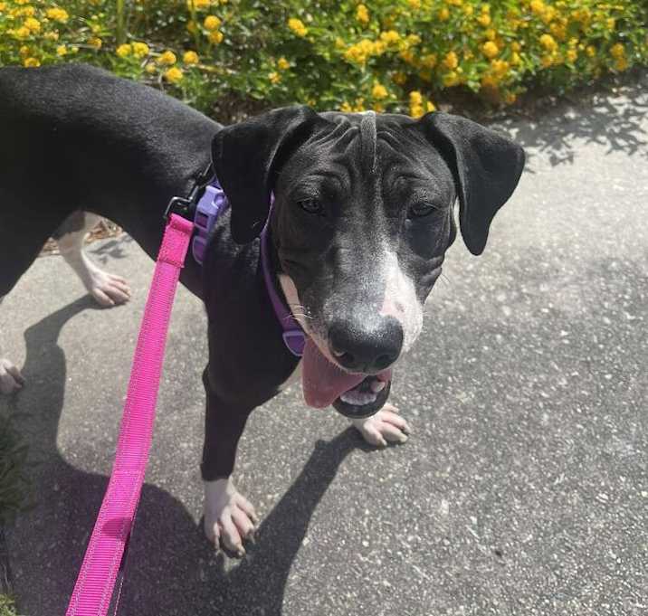 Photo of Nellie