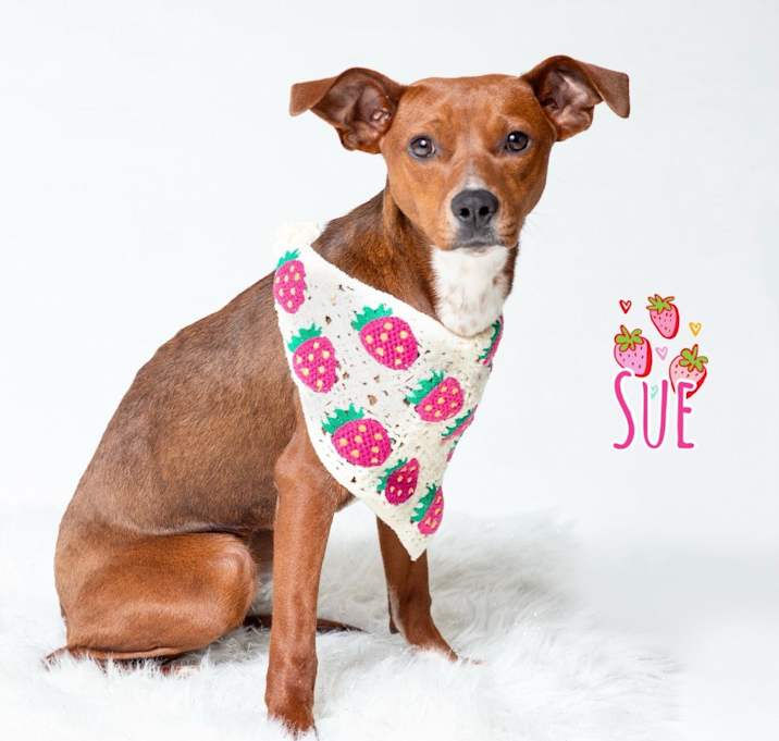 Photo of Sue