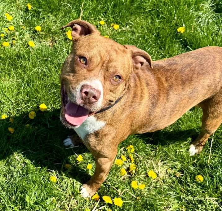 Photo of Cosmo