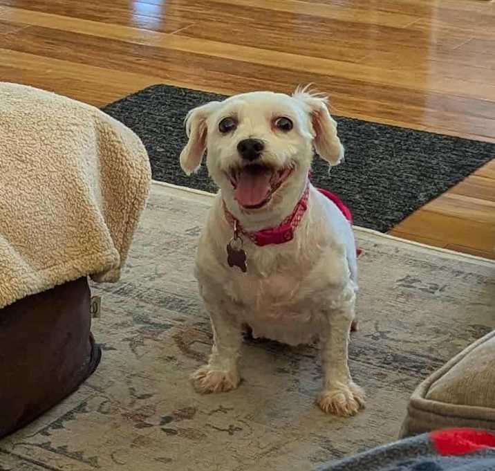 Photo of Rita