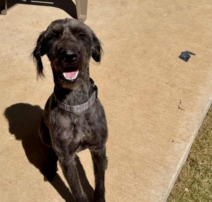 Photo of Mabel