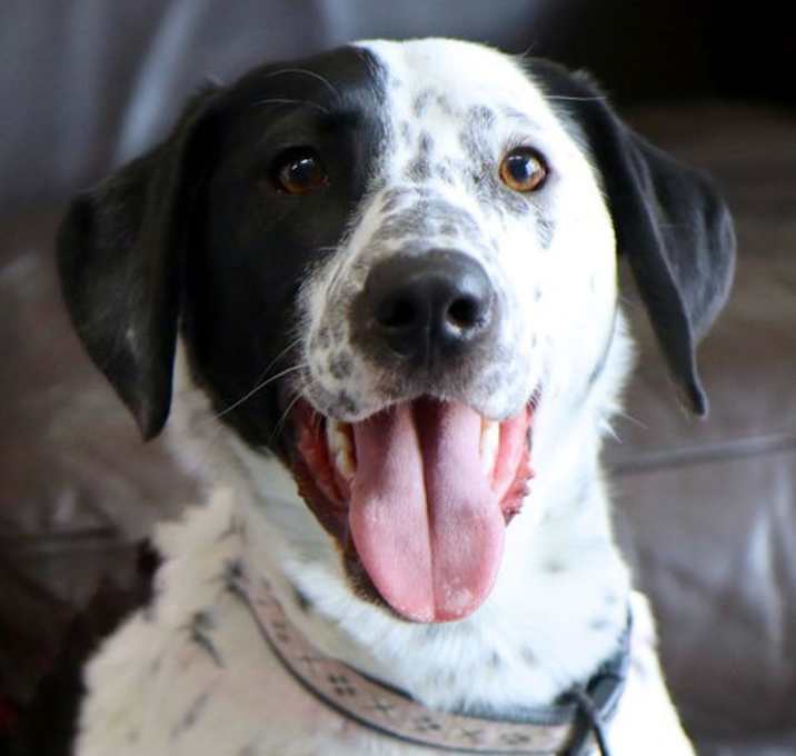 Photo of Ben